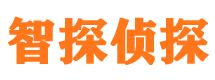 大化调查事务所